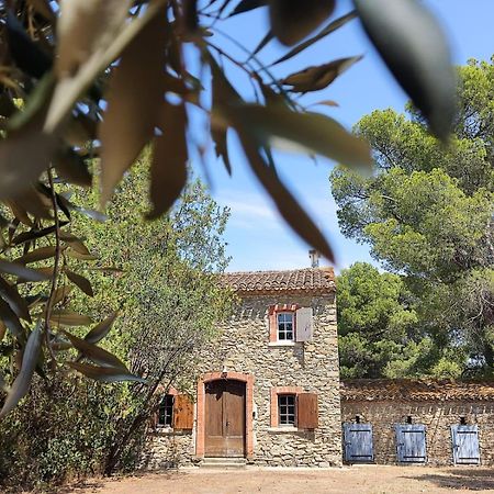 Mazet Du Chateau Joyeux De Violet Pepieux Exterior photo